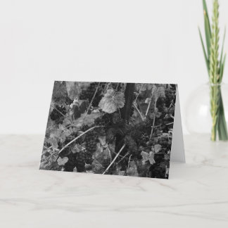 Cartão Detalhe de uvas, negociante de panos Vinhedo,