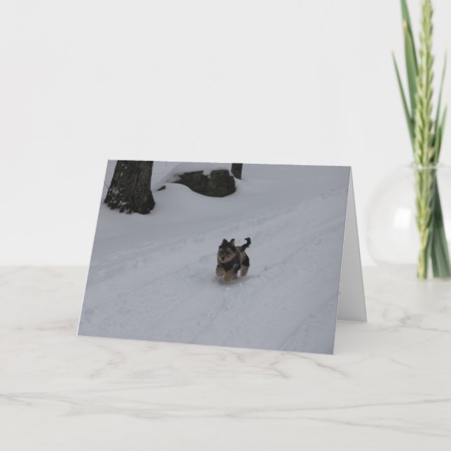 Cartão determinado galhardo do filhote de cachorro (Frente)