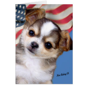 Cartão Deus abençoe América