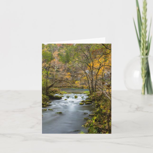 Cartão Devagar Ao Beco (Frente)