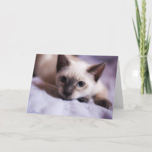 Cartão Deviously Cute Card