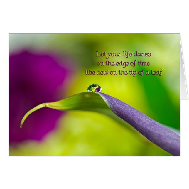 Cartão Dew Drop (Frente horizontal)