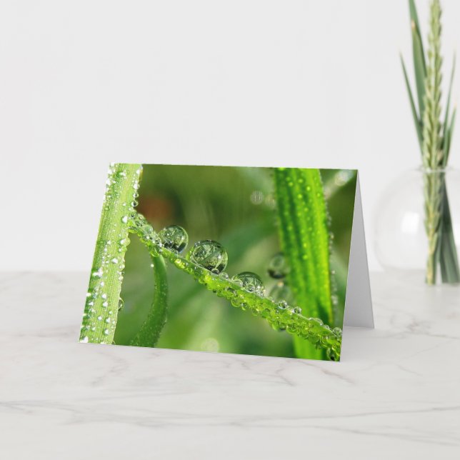 Cartão Dew Drops na Poesia da Grama Verde da Natureza (Frente)