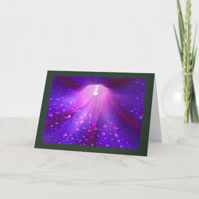 Cartão Dewy Morning Glory Blank (Frente)