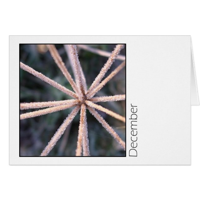 Cartão Dezembro (Frente Horizontal)