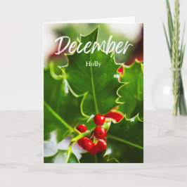 Cartão Dezembro Vermelho Holly Nascimento Mês Flor Aniver