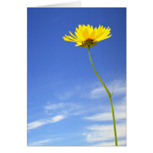 Cartão Dia Bom! Flor Amarelo contra o Céu Azul