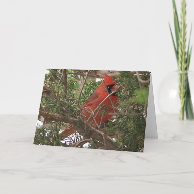 Cartão Dia cardinal, maravilhoso masculino (Frente)