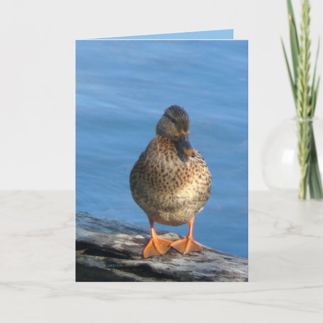 Cartão Dia da Imagem (Frente)