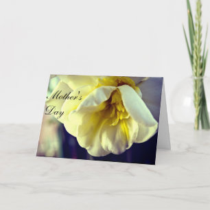 Cartão Dia da Mãe Narciso Daffodil