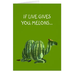 Cartão Dia da Melancia Nacional Dromedário