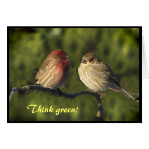 Cartão Dia da Terra dos Lovebirds