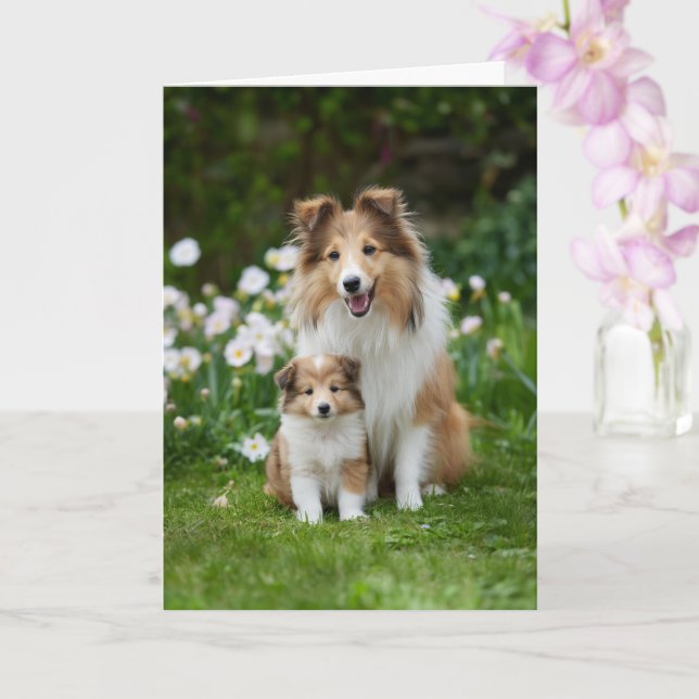 Cartão Dia das Mães Amor Mamãe Sheltie (Orquídea)