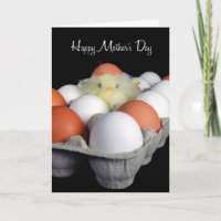 Dia das mães do Firstborn