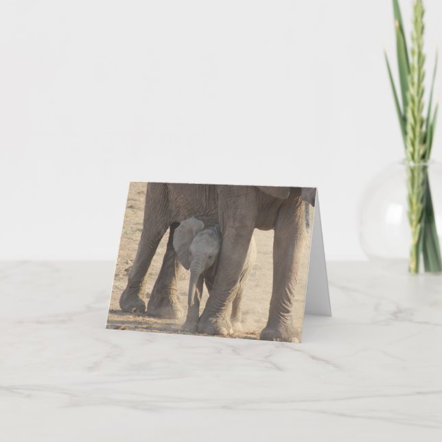 Cartão Dia das mães (elefante do bebê) (Frente)