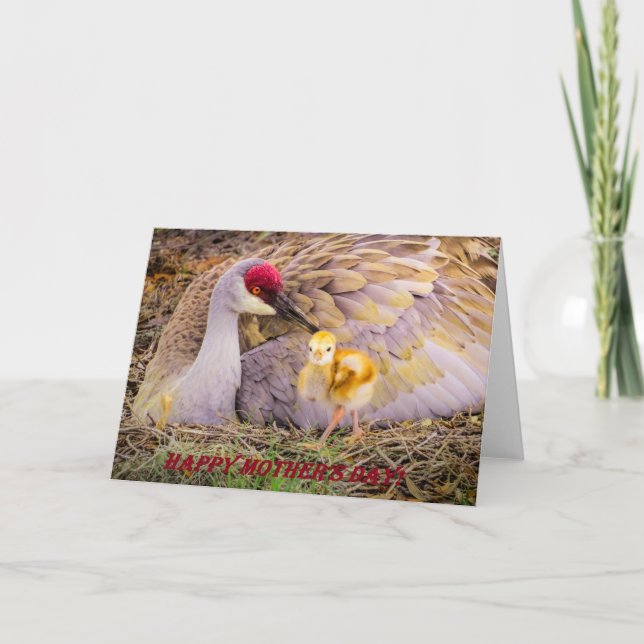 Cartão Dia das mães feliz! (Frente)