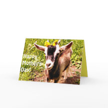 Dia das mães feliz de seu miúdo favorito (cabra)