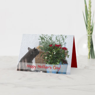 Cartão Dia das mães feliz do gato e dos rosas!