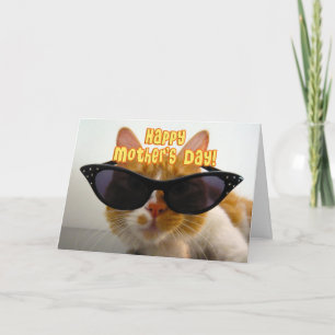 Cartão Dia das mães feliz - gato legal nos óculos de so