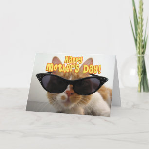 Cartão Dia das mães feliz - gato legal nos óculos de so