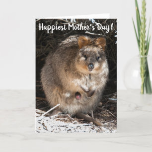 Cartão Dia das Mães mais Feliz Quokka Austrália