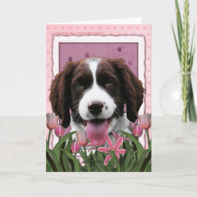 Cartão Dia das mães - Spaniel de Springer inglês (Frente)