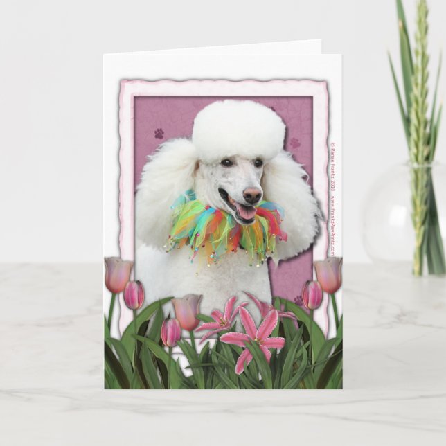 Cartão Dia das mães - tulipas cor-de-rosa - caniche - (Frente)