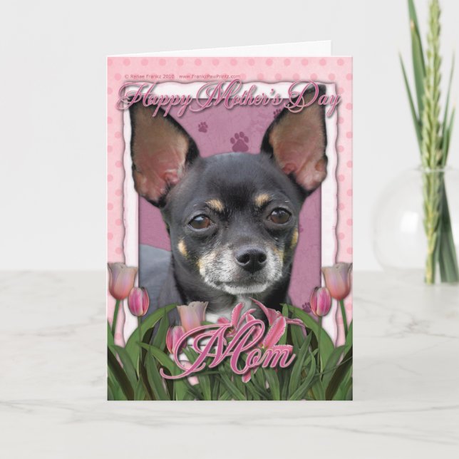 Cartão Dia das mães - tulipas cor-de-rosa - chihuahua - (Frente)