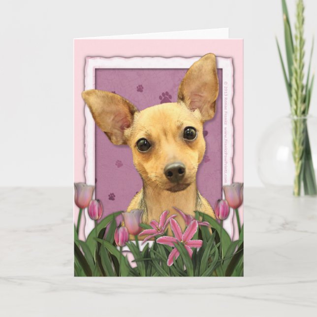 Cartão Dia das mães - tulipas cor-de-rosa - chihuahua (Frente)
