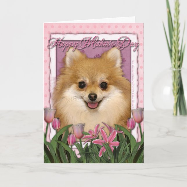 Cartão Dia das mães - tulipas cor-de-rosa - Pomeranian (Frente)