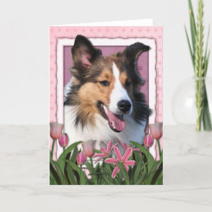 Cartão Dia das mães - tulipas cor-de-rosa - Sheltie