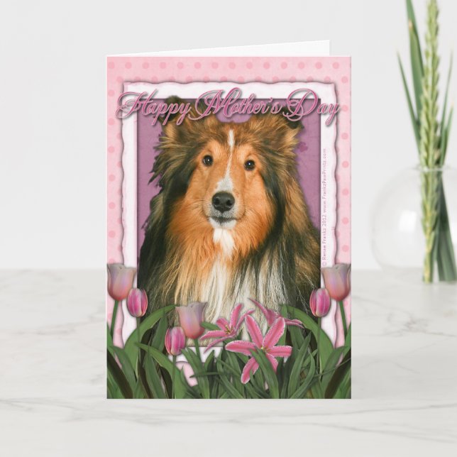 Cartão Dia das mães - tulipas cor-de-rosa - Sheltie (Frente)