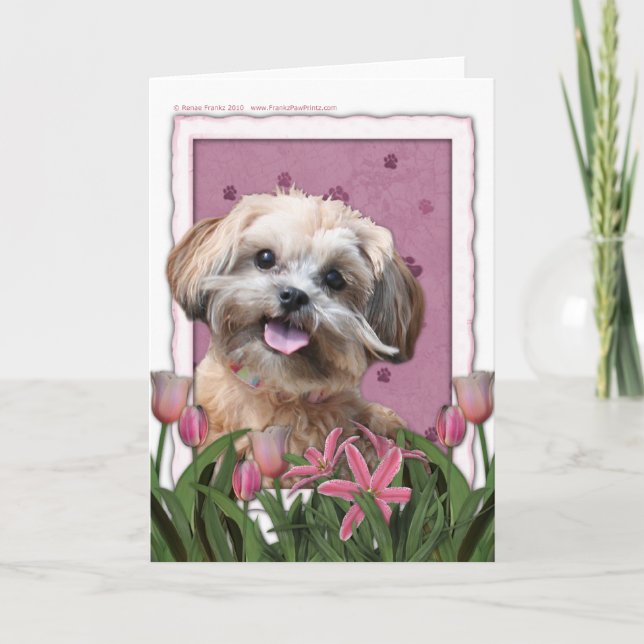 Cartão Dia das mães - tulipas cor-de-rosa - ShihPoo - (Frente)