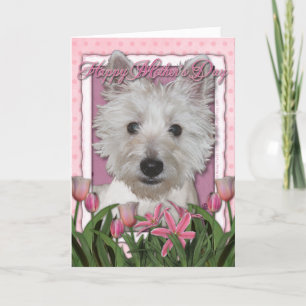 Cartão Dia das mães - tulipas cor-de-rosa - Westie