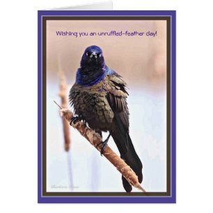 Cartão Dia das Penas Sem Fio