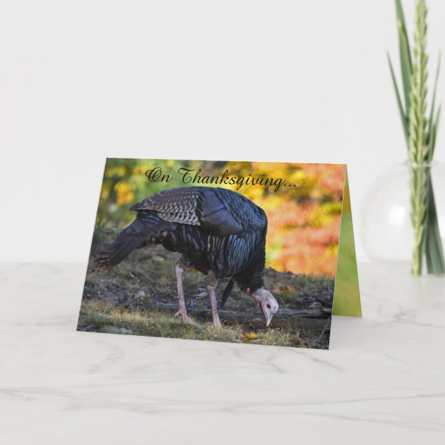 Cartão Dia de Ação de Graças engraçado (Frente)