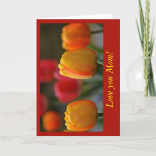 Cartão Dia de as mães