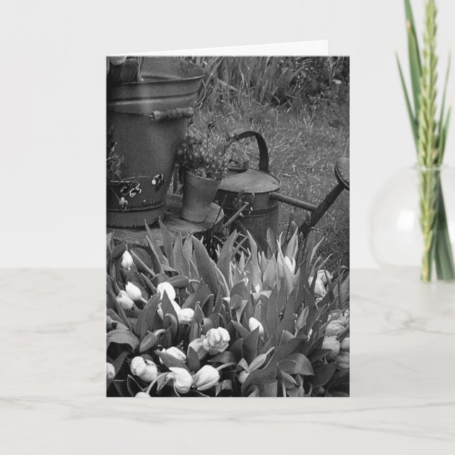 CARTÃO DIA DE AS MÃES A UMA SENHORA ESPECIAL NA SUA VIDA (Frente)