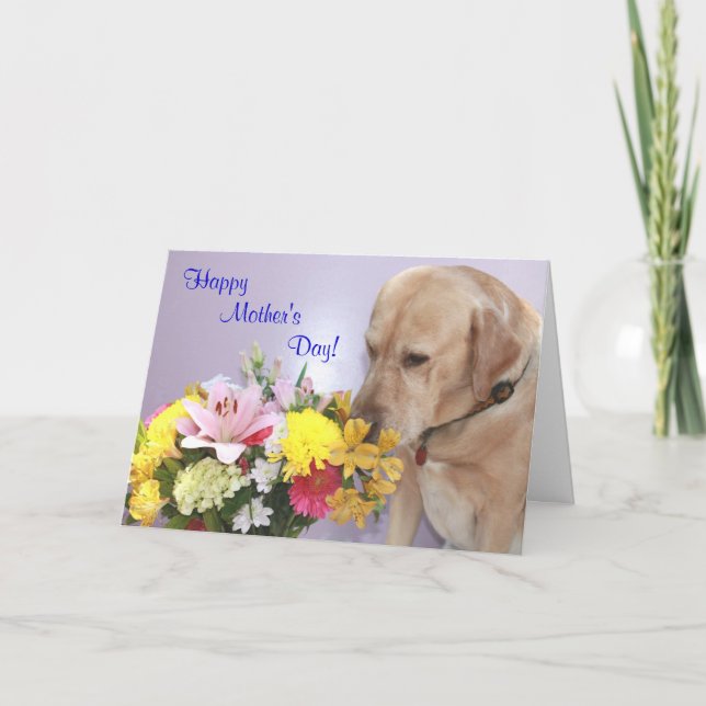 Cartão Dia de as mães/Cachorro/Lab Personalizável (Frente)