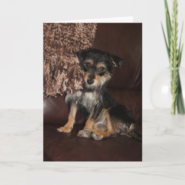 Cartão Dia de as mães de Cachorro Bonito, Adorável (Frente)