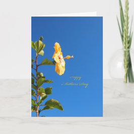 Cartão Dia de as mães de Hibiscus do Céu Azul