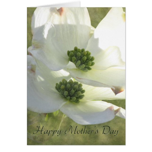 Cartão Dia de as mães Dogwood (Frente)