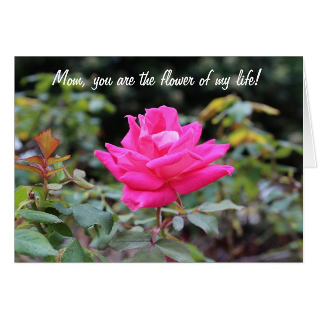 Cartão Dia de as mães Feliz (Frente Horizontal)