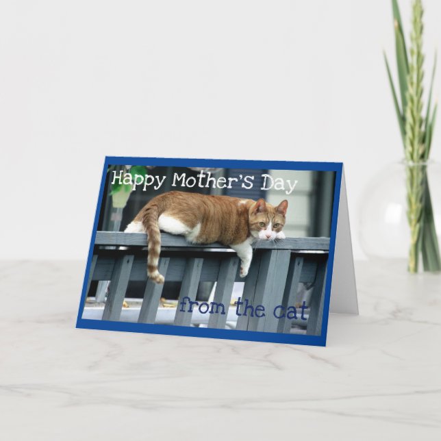 Cartão Dia de as mães Feliz de Cat (Frente)
