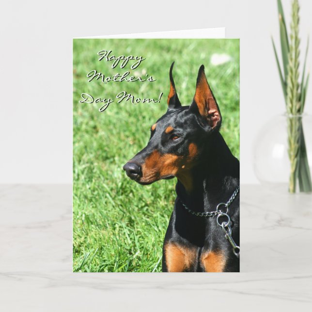 Cartão Dia de as mães Feliz, mãe Doberman. (Frente)