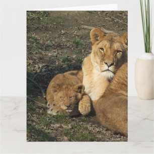 CARTÃO DIA DE AS MÃES LION E BABY CUB