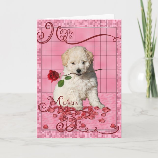 Cartão Dia de as mães - Rosa vermelha - Bichon Frise Pupp (Frente)