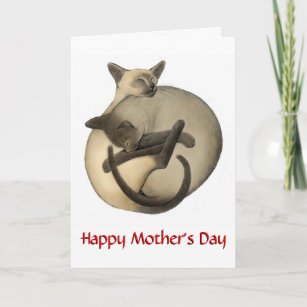 Cartão dia de as mães Siamese Cats