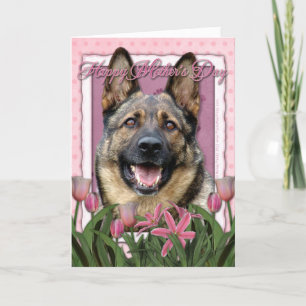 Cartão Dia de as mães - Tulipas cor-de-rosa - German shep