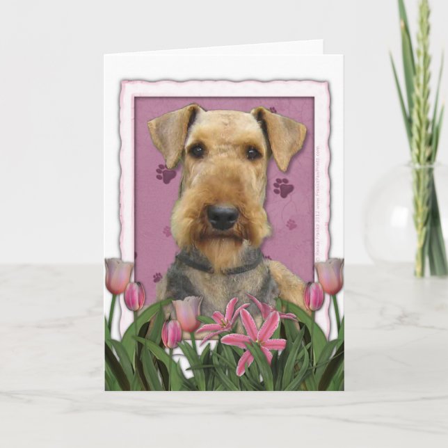 Cartão Dia de as mães - Tulipas Rosa - Airedale (Frente)